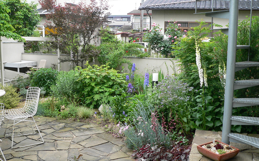 北海道函館市の造園会社 高瀬環境緑化は 人と緑をつなぐ会社 宿根草を利用しましょう